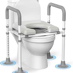 Toilet Raiser